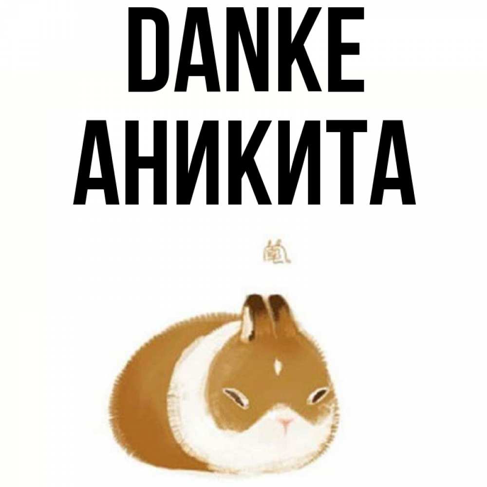 Открытка на каждый день с именем, Аникита Danke коричнево белый домашний питомец Прикольная открытка с пожеланием онлайн скачать бесплатно 