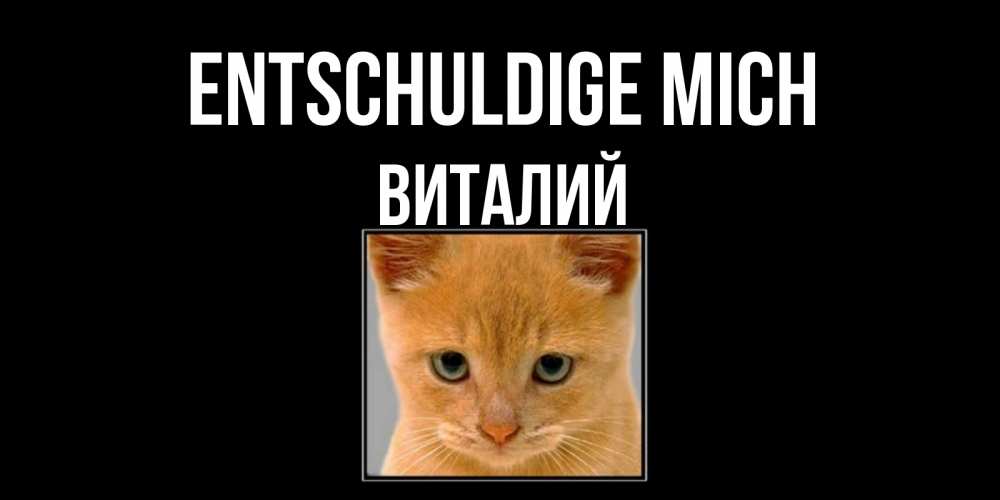 Открытка на каждый день с именем, Виталий Entschuldige mich рыжий грустный кот просит прощения Прикольная открытка с пожеланием онлайн скачать бесплатно 