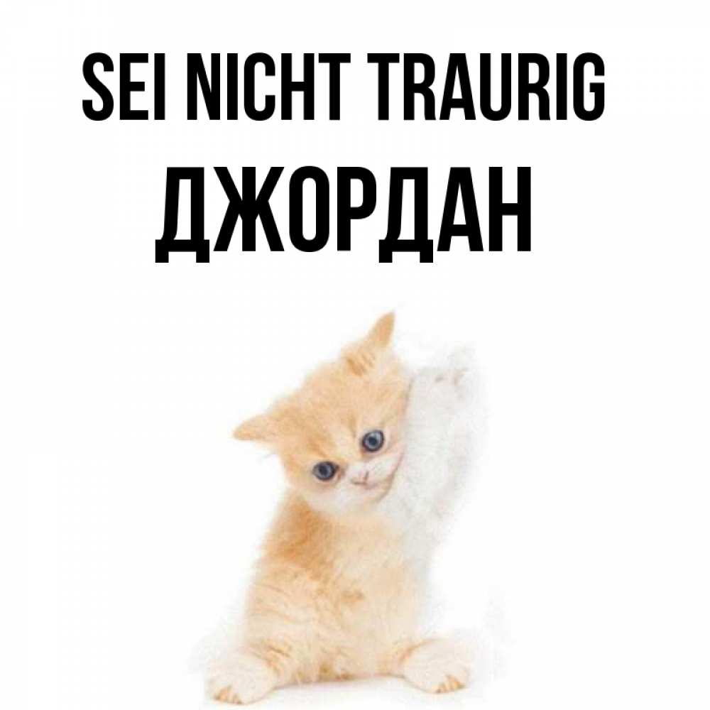 Открытка на каждый день с именем, Джордан Sei nicht traurig просящий кот Прикольная открытка с пожеланием онлайн скачать бесплатно 