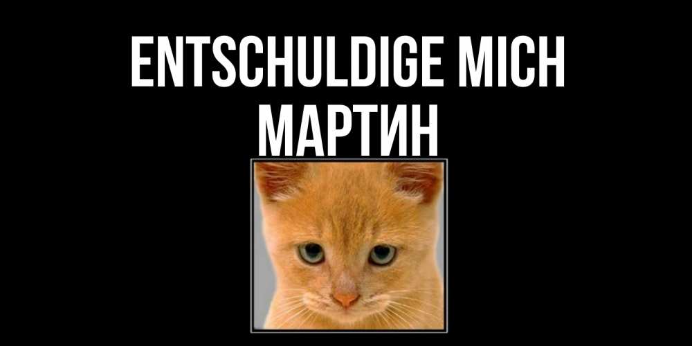 Открытка на каждый день с именем, Мартин Entschuldige mich рыжий грустный кот просит прощения Прикольная открытка с пожеланием онлайн скачать бесплатно 
