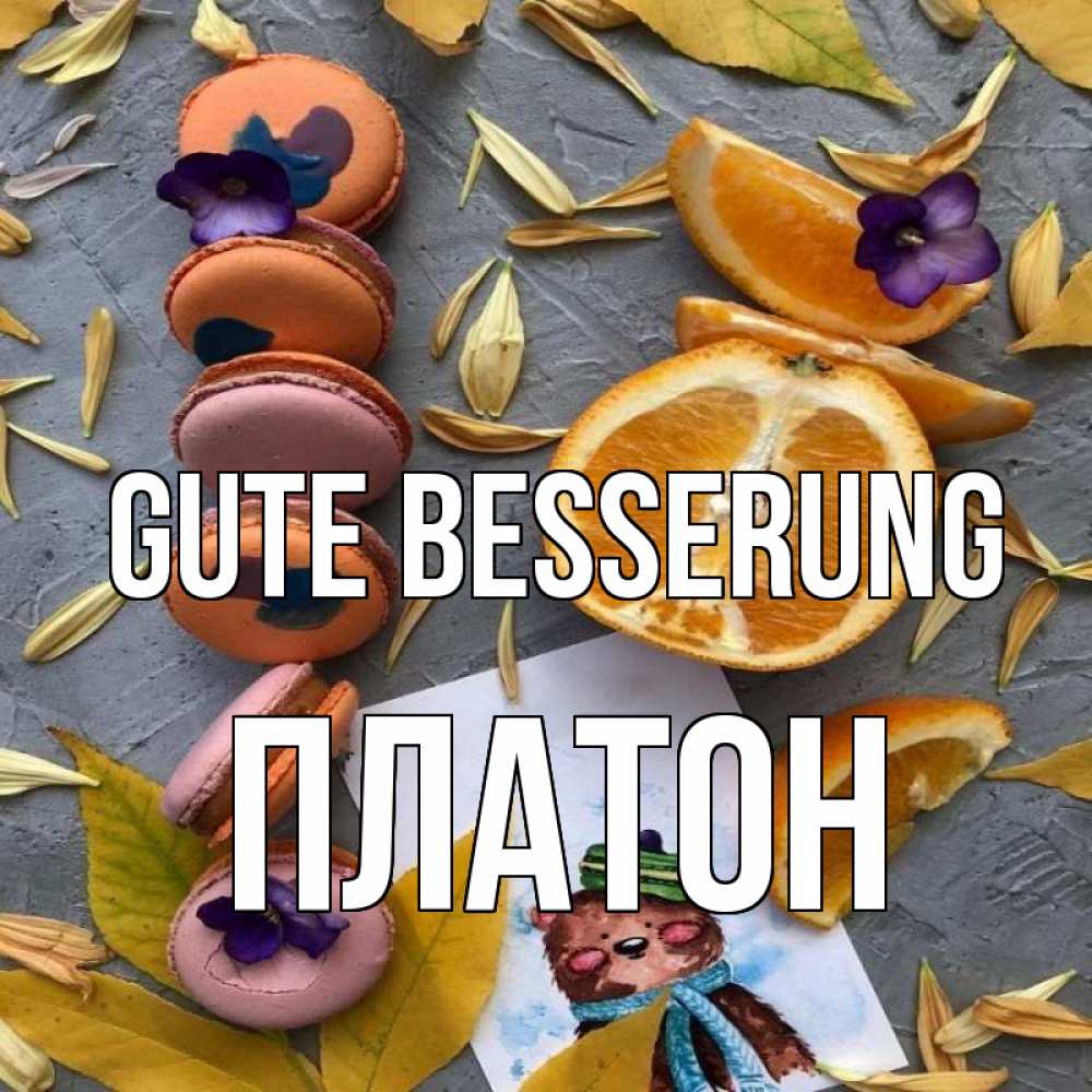 Открытка на каждый день с именем, Платон Gute Besserung не болейте Прикольная открытка с пожеланием онлайн скачать бесплатно 
