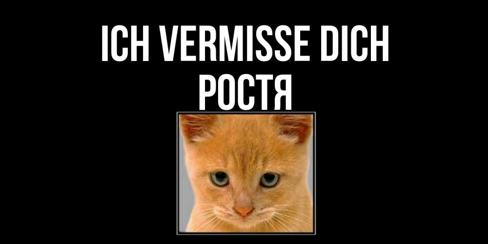 Открытка на каждый день с именем, Ростя Ich vermisse dich открытки рыжий котенок скучает по тебе Прикольная открытка с пожеланием онлайн скачать бесплатно 
