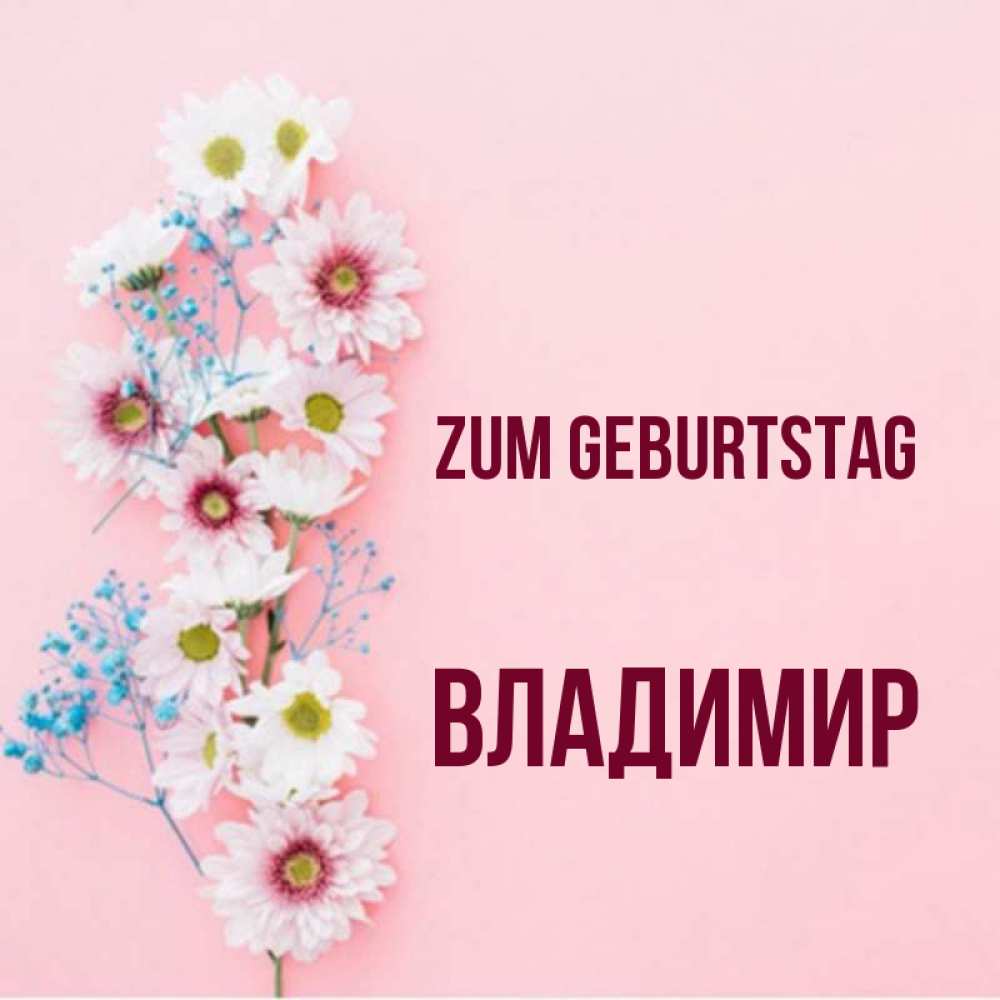 Картинка Zum Geburtstag, Владимир