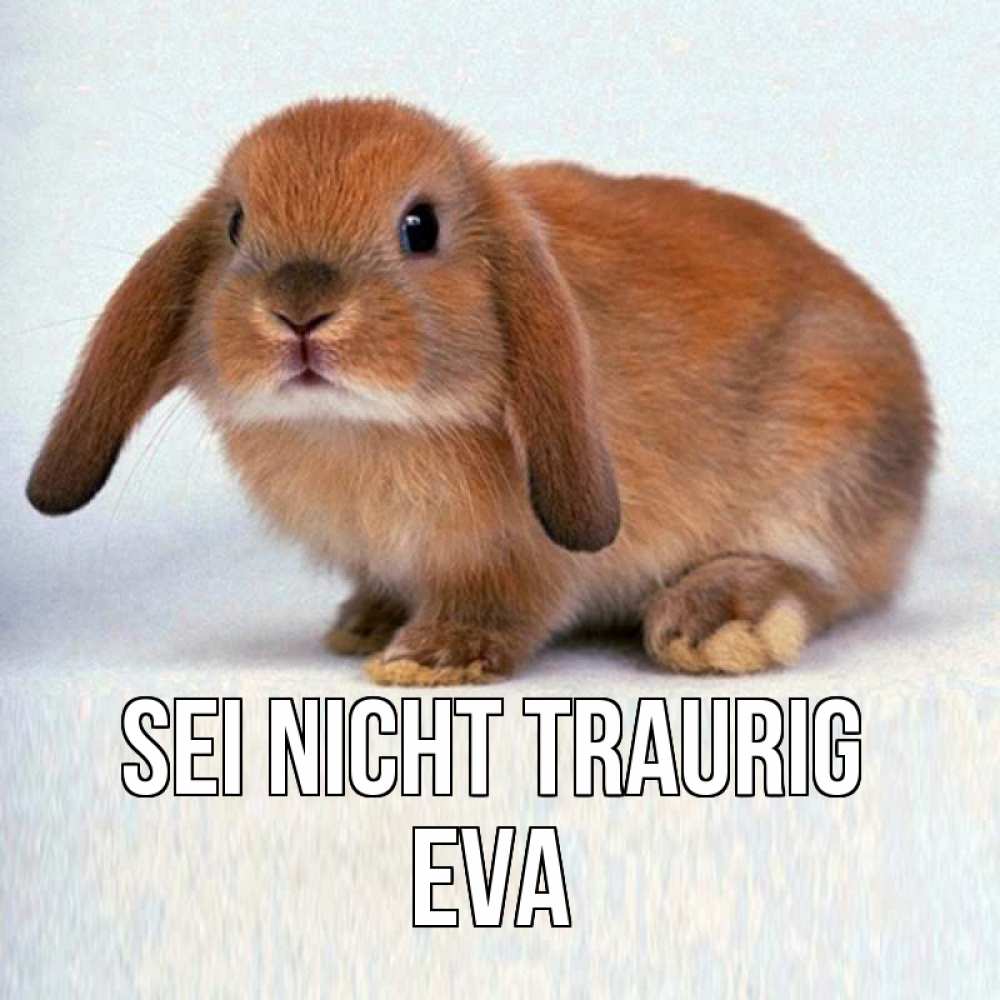 Открытка на каждый день с именем, Eva Sei nicht traurig рыжий зая Прикольная открытка с пожеланием онлайн скачать бесплатно 