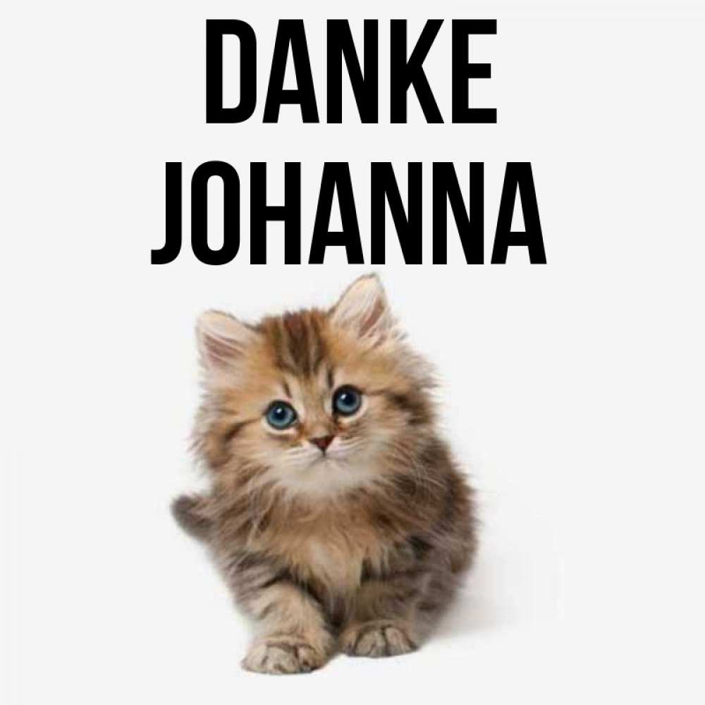 Открытка на каждый день с именем, Johanna Danke пушистый котик Прикольная открытка с пожеланием онлайн скачать бесплатно 
