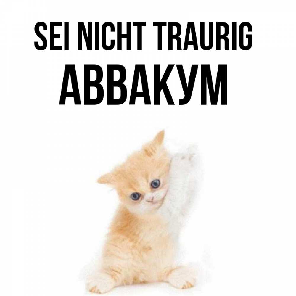 Открытка на каждый день с именем, Аввакум Sei nicht traurig просящий кот Прикольная открытка с пожеланием онлайн скачать бесплатно 