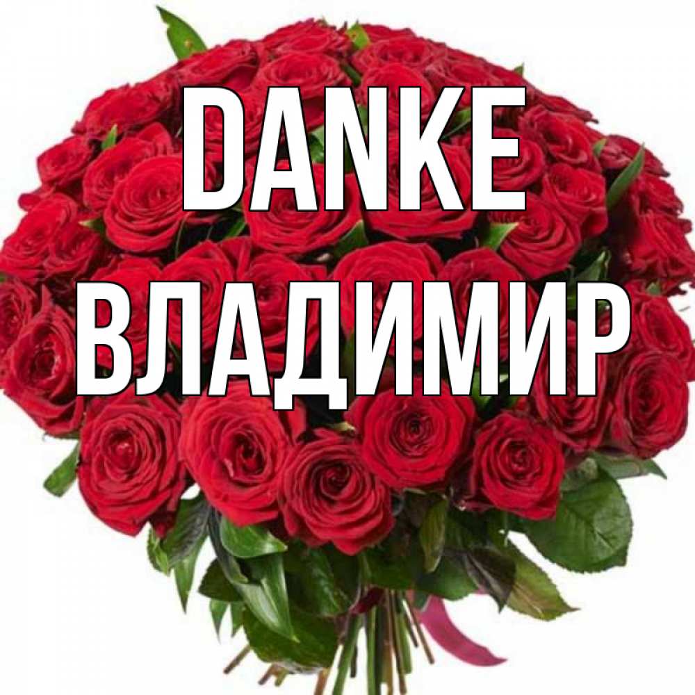 Открытка на каждый день с именем, Владимир Danke букет красных роз Прикольная открытка с пожеланием онлайн скачать бесплатно 