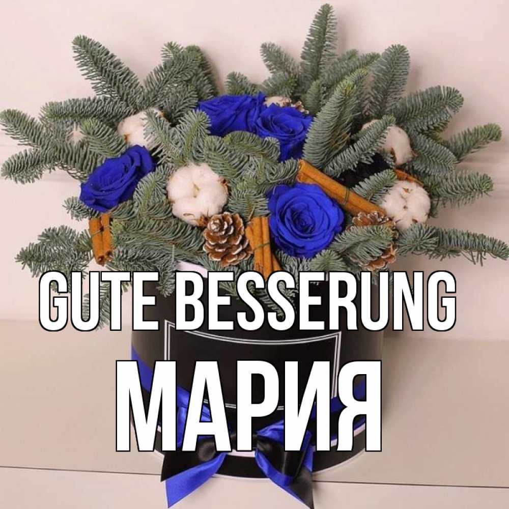 Открытка на каждый день с именем, Мария Gute Besserung короче кто то загрузил эти шишки Прикольная открытка с пожеланием онлайн скачать бесплатно 