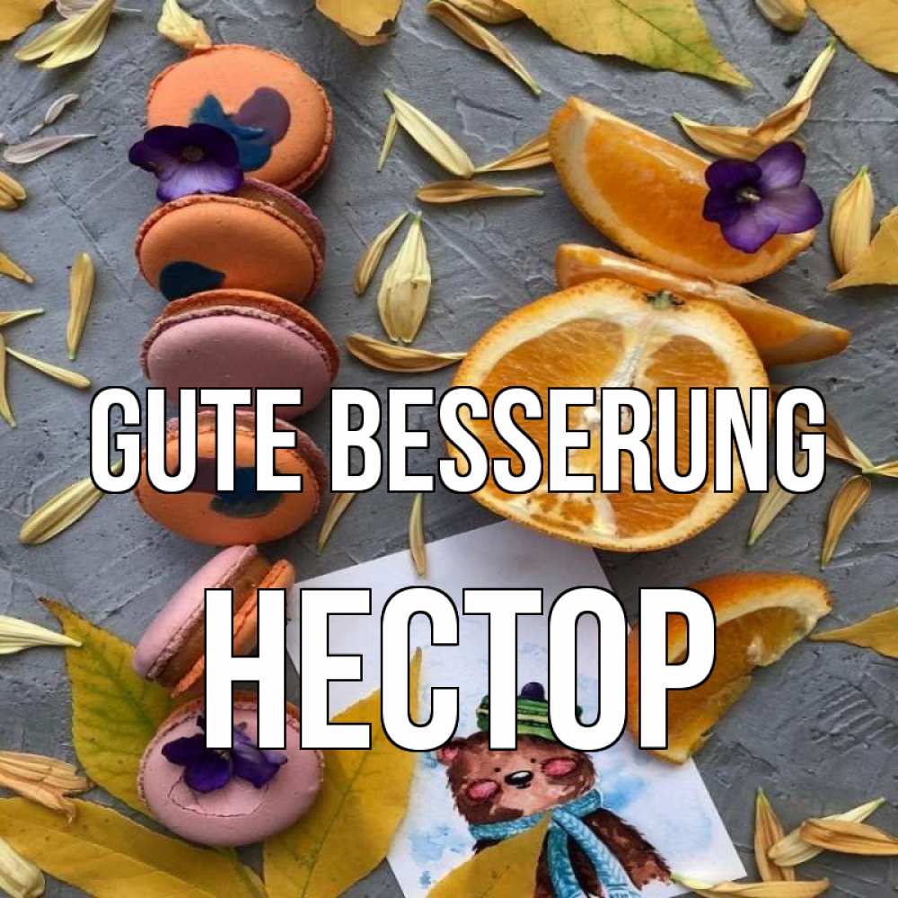 Открытка на каждый день с именем, Нестор Gute Besserung не болейте Прикольная открытка с пожеланием онлайн скачать бесплатно 