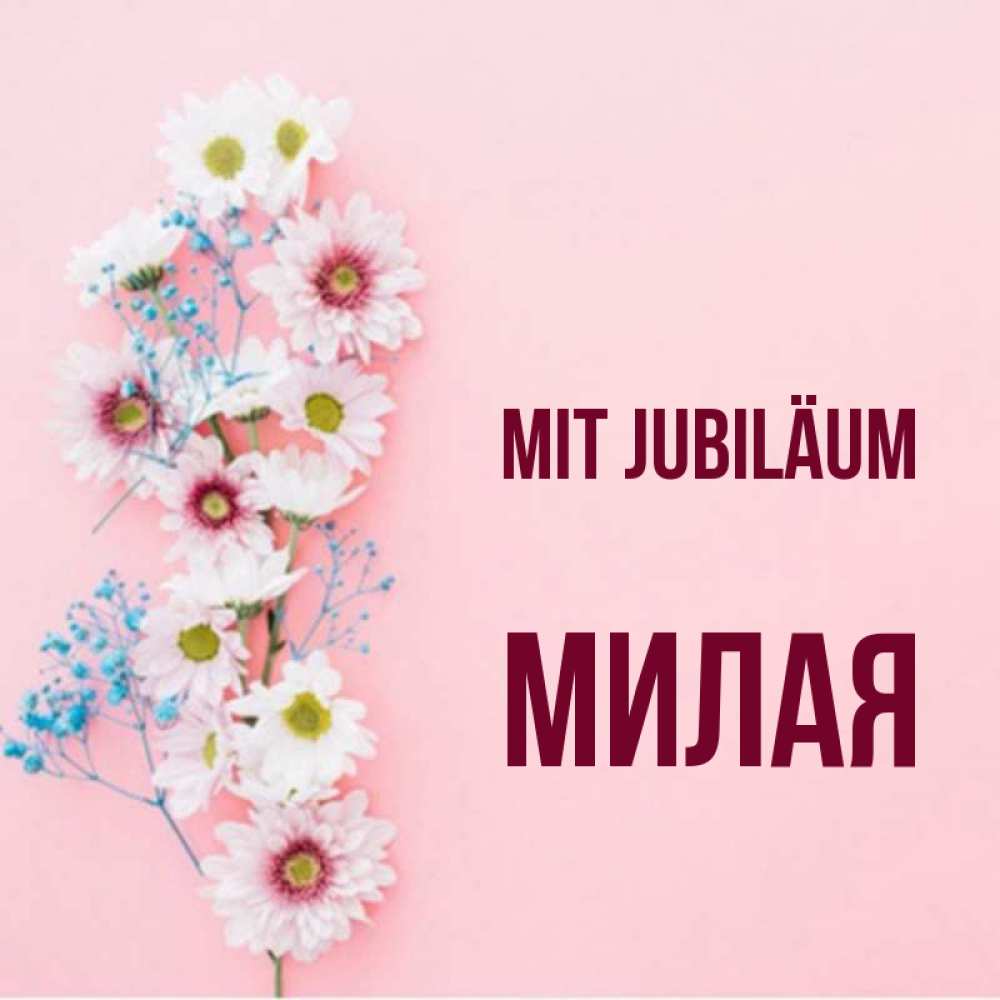 Открытка на каждый день с именем, Милая Mit Jubiläum Родная моя с днем рождения тебя картинка с цветами белыми и голубыми Прикольная открытка с пожеланием онлайн скачать бесплатно 