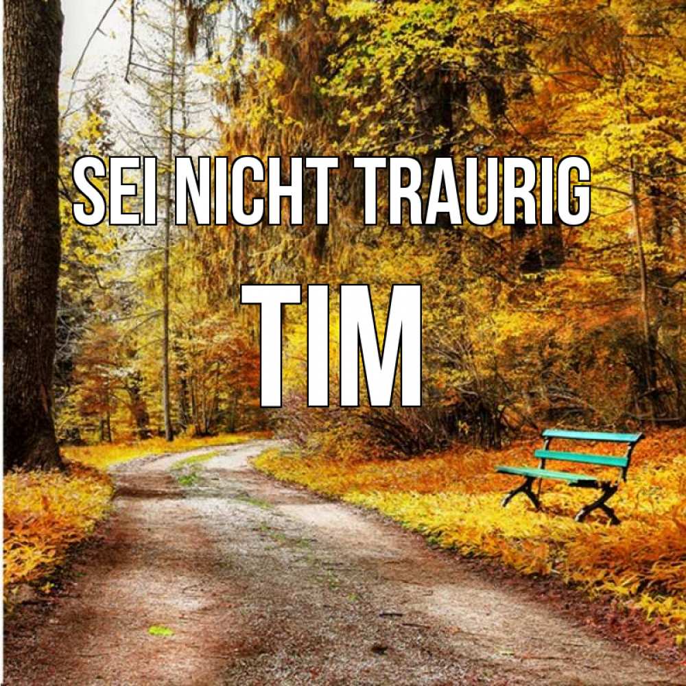 Открытка на каждый день с именем, Tim Sei nicht traurig зеленая лавочка Прикольная открытка с пожеланием онлайн скачать бесплатно 