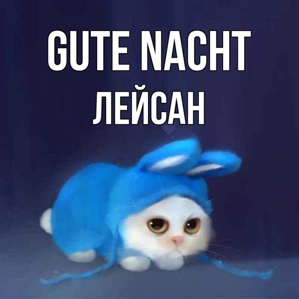 Открытка на каждый день с именем, Лейсан Gute Nacht кот в голубом костюме кролика с ушками Прикольная открытка с пожеланием онлайн скачать бесплатно 
