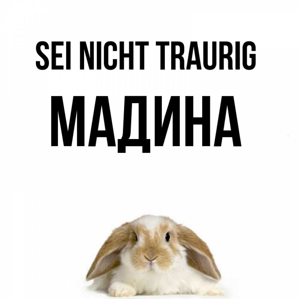 Открытка на каждый день с именем, Мадина Sei nicht traurig коричнево белый заяц с большими ушками Прикольная открытка с пожеланием онлайн скачать бесплатно 