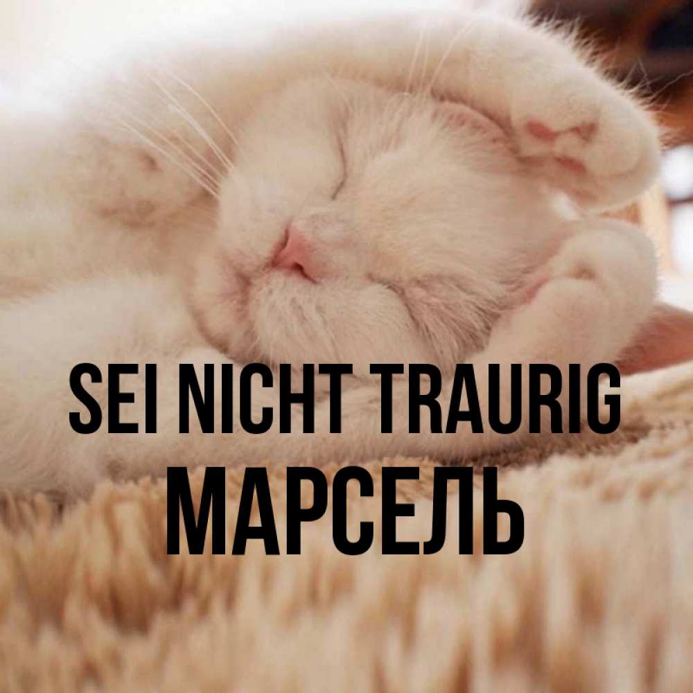 Открытка на каждый день с именем, Марсель Sei nicht traurig Котенок спит Прикольная открытка с пожеланием онлайн скачать бесплатно 