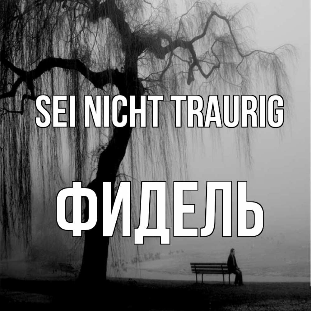 Открытка на каждый день с именем, Фидель Sei nicht traurig висящие ветки дерева и лавочка под деревом Прикольная открытка с пожеланием онлайн скачать бесплатно 