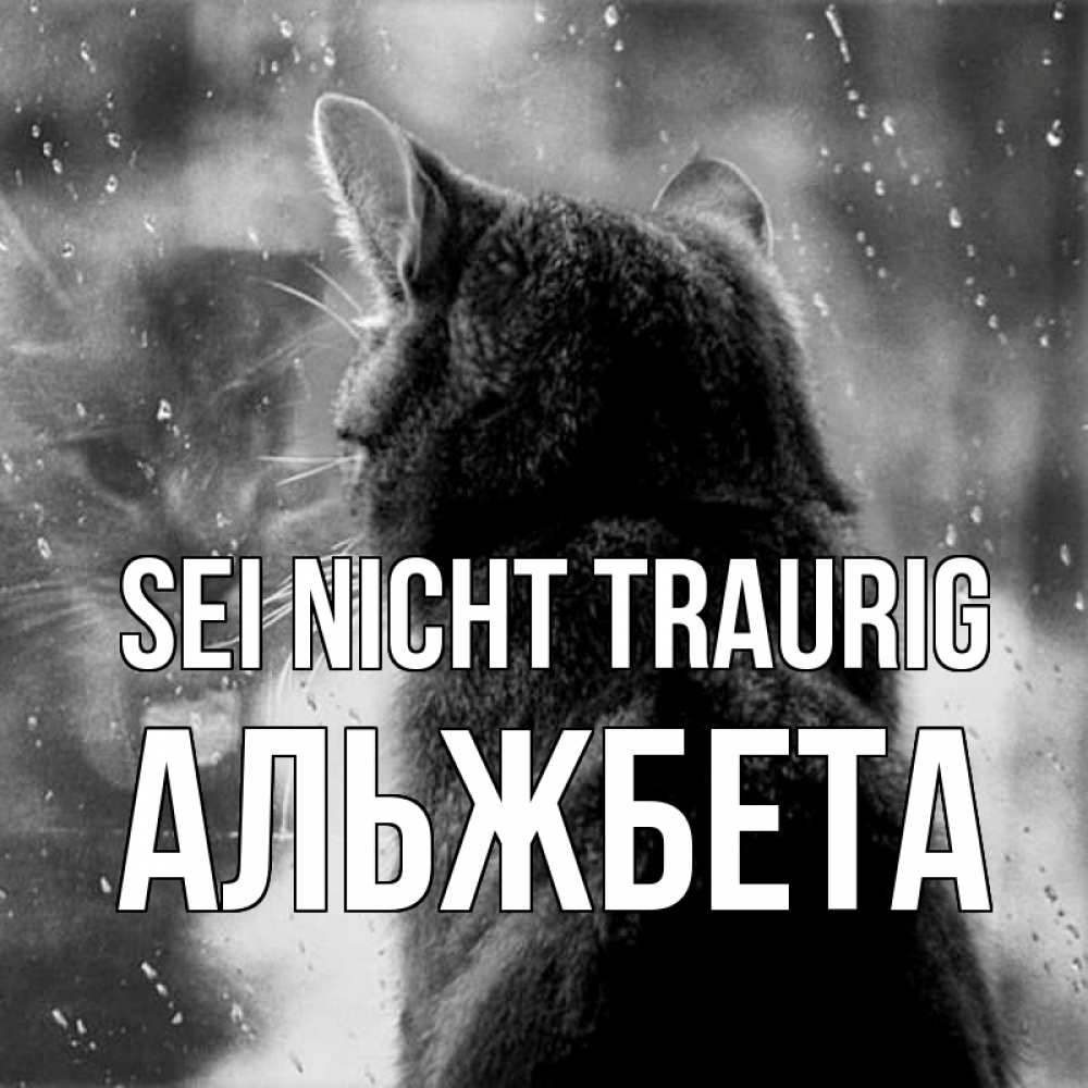 Открытка на каждый день с именем, Альжбета Sei nicht traurig отражение кота 1 Прикольная открытка с пожеланием онлайн скачать бесплатно 