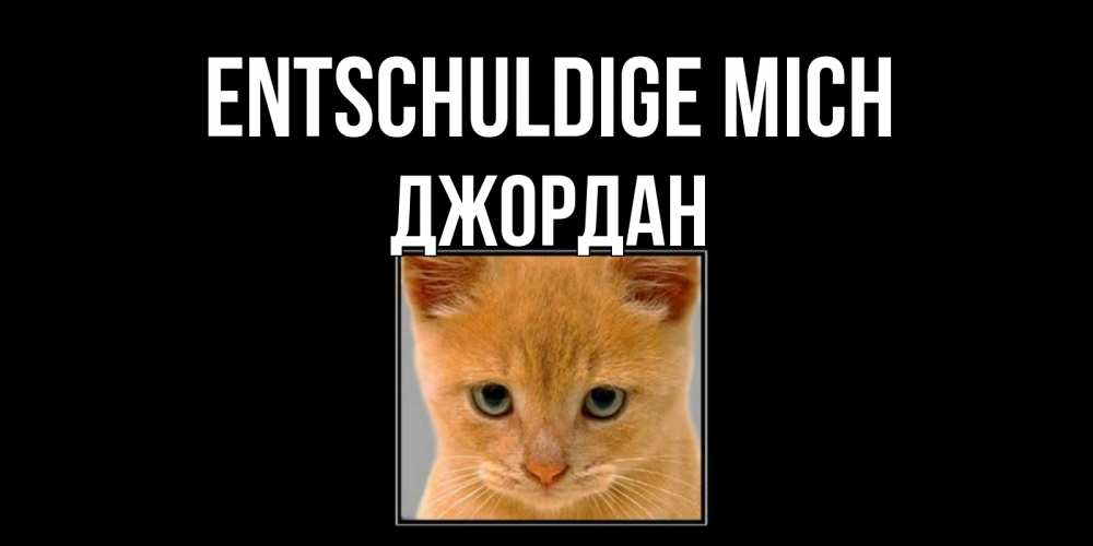 Открытка на каждый день с именем, Джордан Entschuldige mich рыжий грустный кот просит прощения Прикольная открытка с пожеланием онлайн скачать бесплатно 