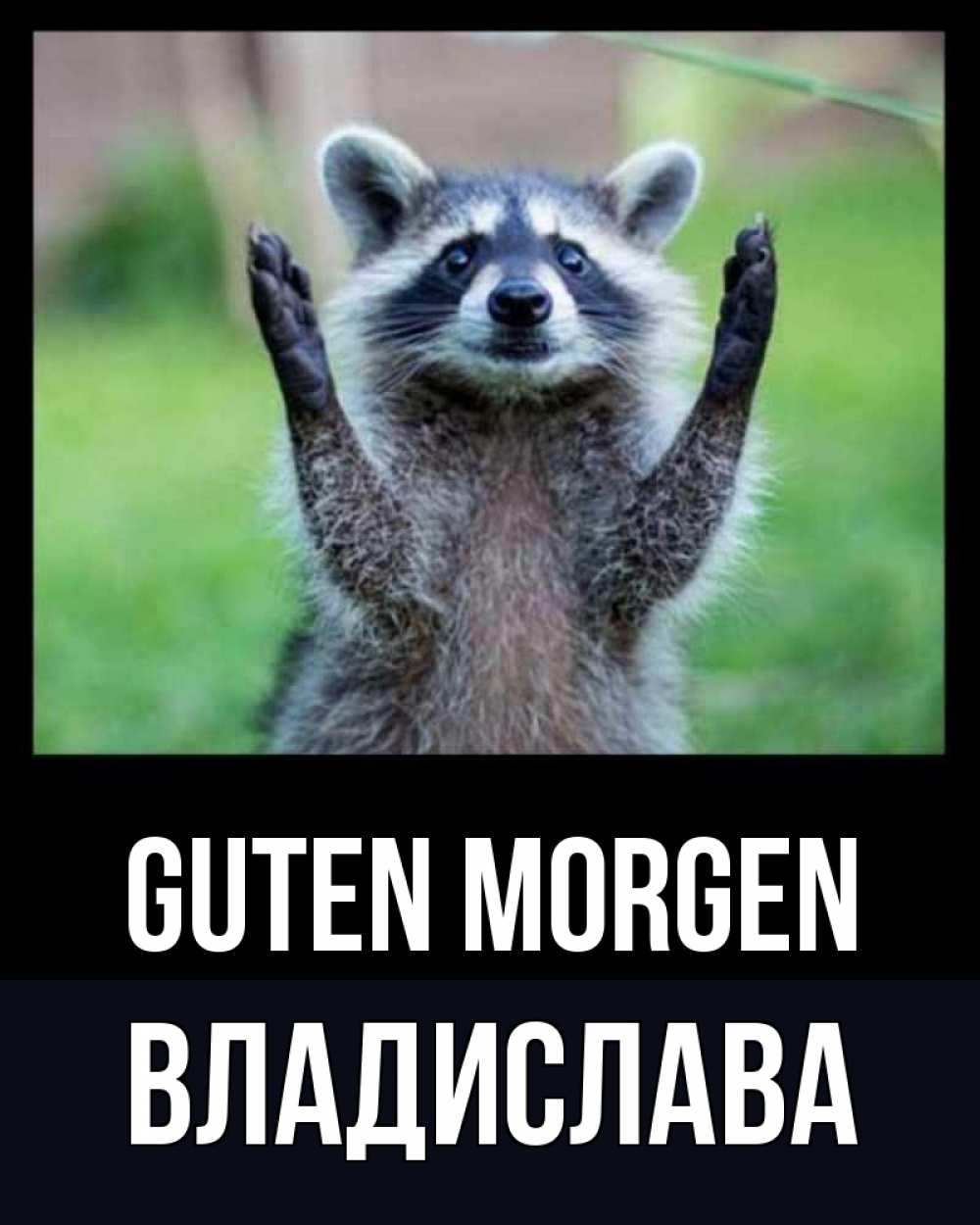 Открытка на каждый день с именем, Владислава Guten Morgen хорошее настроение утречком Прикольная открытка с пожеланием онлайн скачать бесплатно 