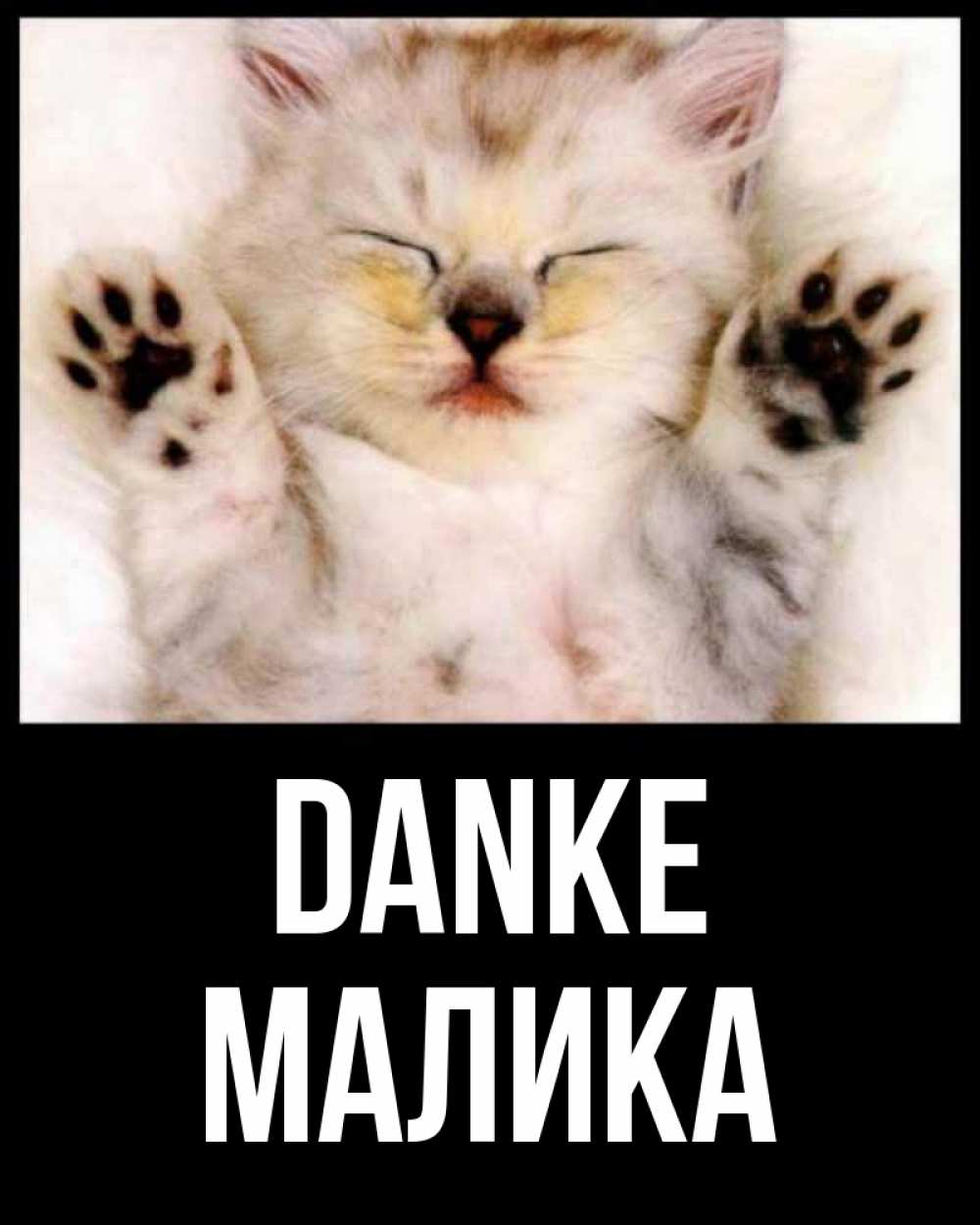 Открытка на каждый день с именем, Малика Danke маленький котенок Прикольная открытка с пожеланием онлайн скачать бесплатно 