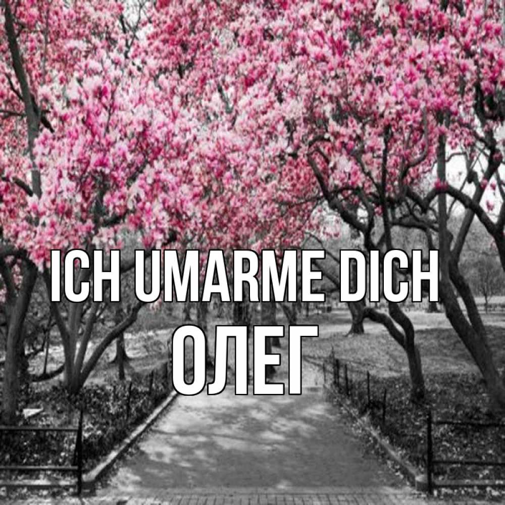 Открытка на каждый день с именем, Олег Ich umarme dich обработанное фото Прикольная открытка с пожеланием онлайн скачать бесплатно 