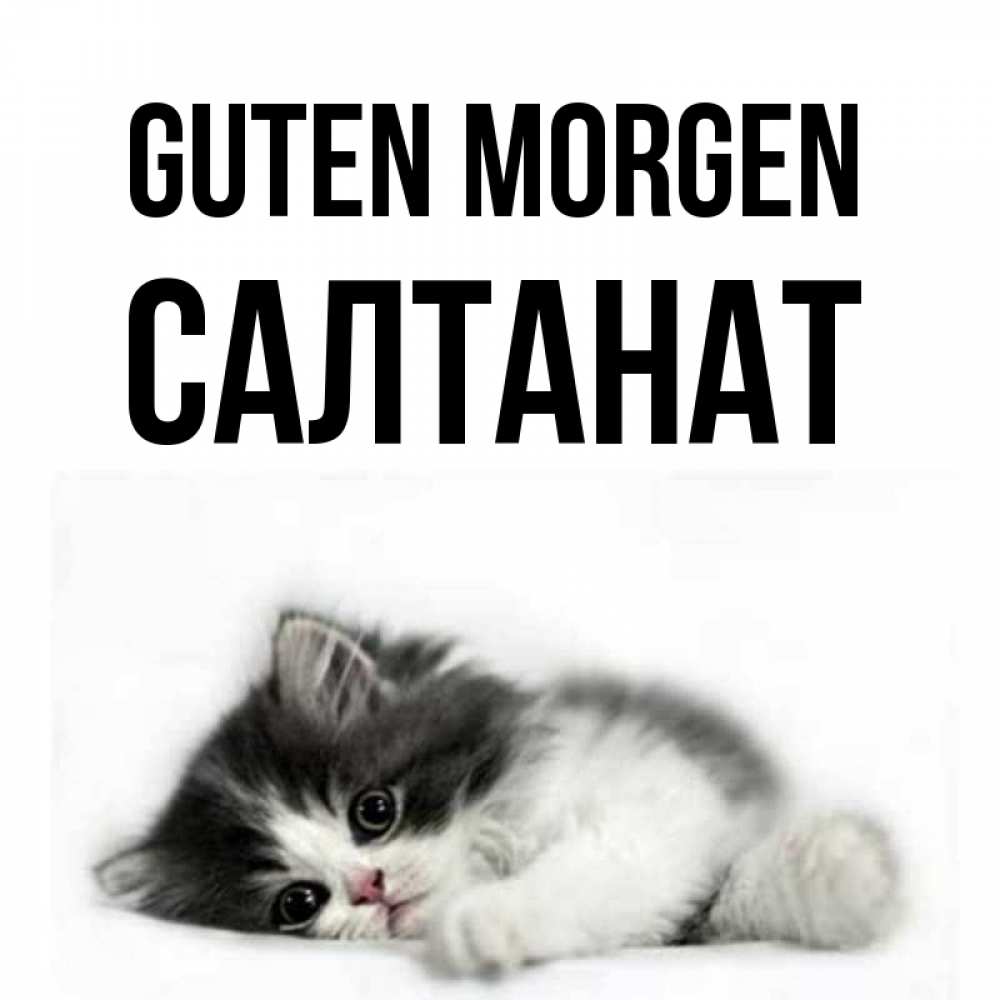 Открытка на каждый день с именем, Салтанат Guten Morgen кот лапки Прикольная открытка с пожеланием онлайн скачать бесплатно 