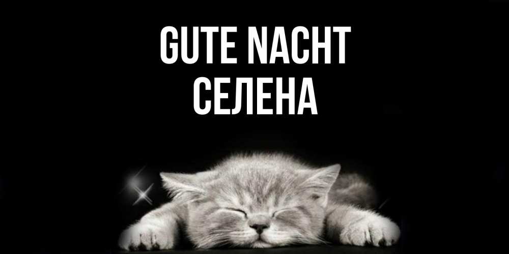 Открытка на каждый день с именем, Селена Gute Nacht спящий котик Прикольная открытка с пожеланием онлайн скачать бесплатно 