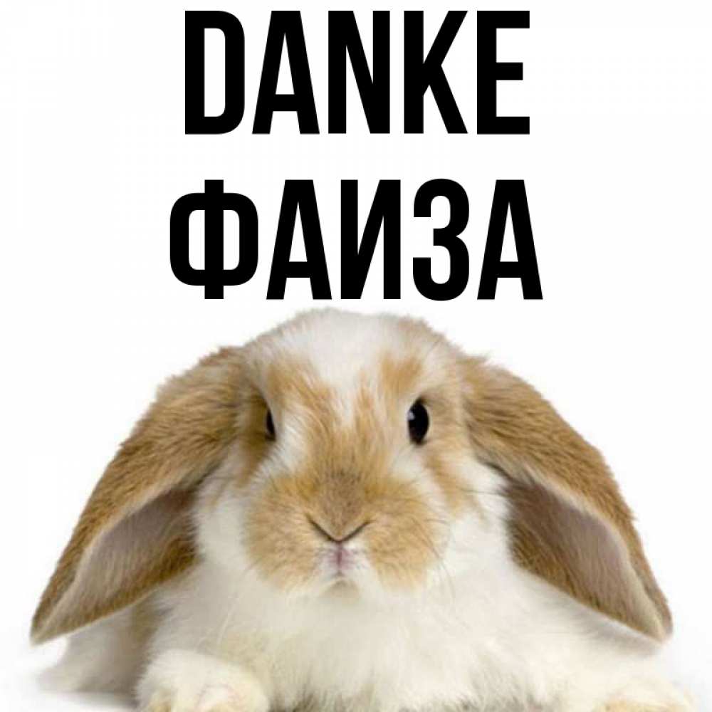 Открытка на каждый день с именем, Фаиза Danke коричнево белый заяц Прикольная открытка с пожеланием онлайн скачать бесплатно 