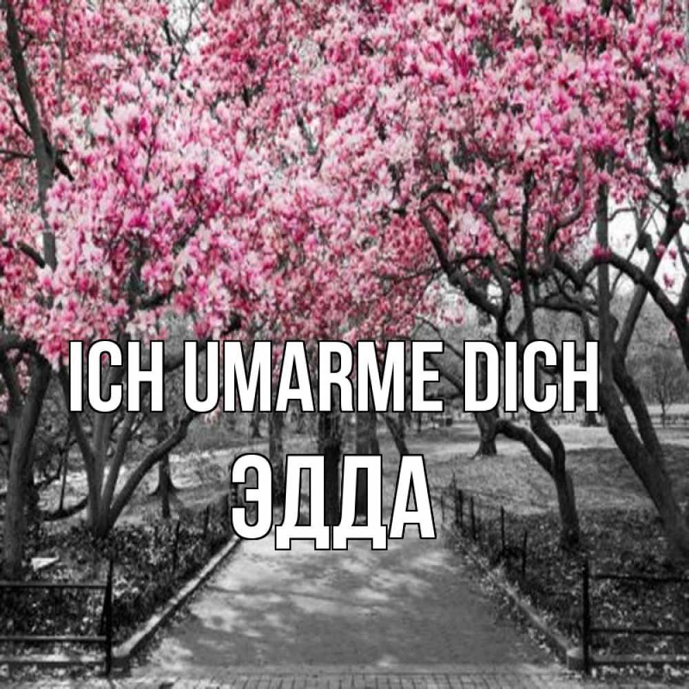 Открытка на каждый день с именем, Эдда Ich umarme dich обработанное фото Прикольная открытка с пожеланием онлайн скачать бесплатно 
