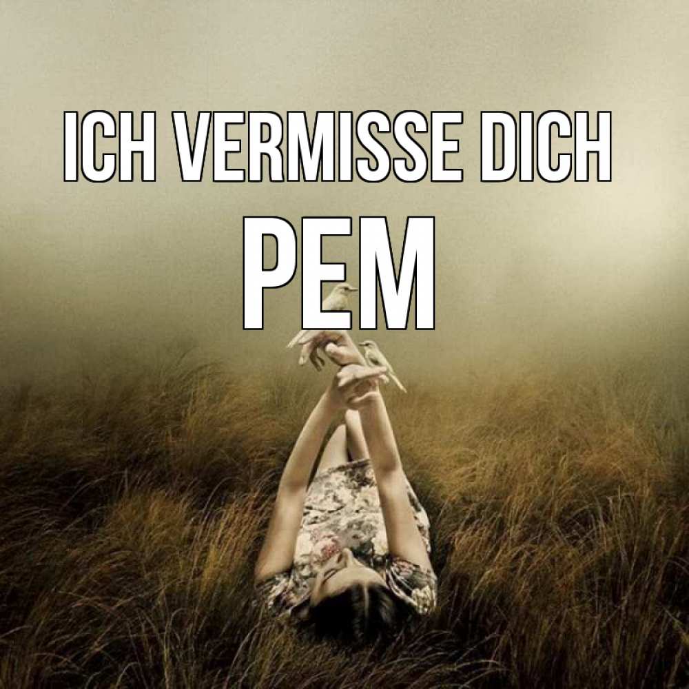 Открытка на каждый день с именем, Рем Ich vermisse dich девушка с голубями Прикольная открытка с пожеланием онлайн скачать бесплатно 