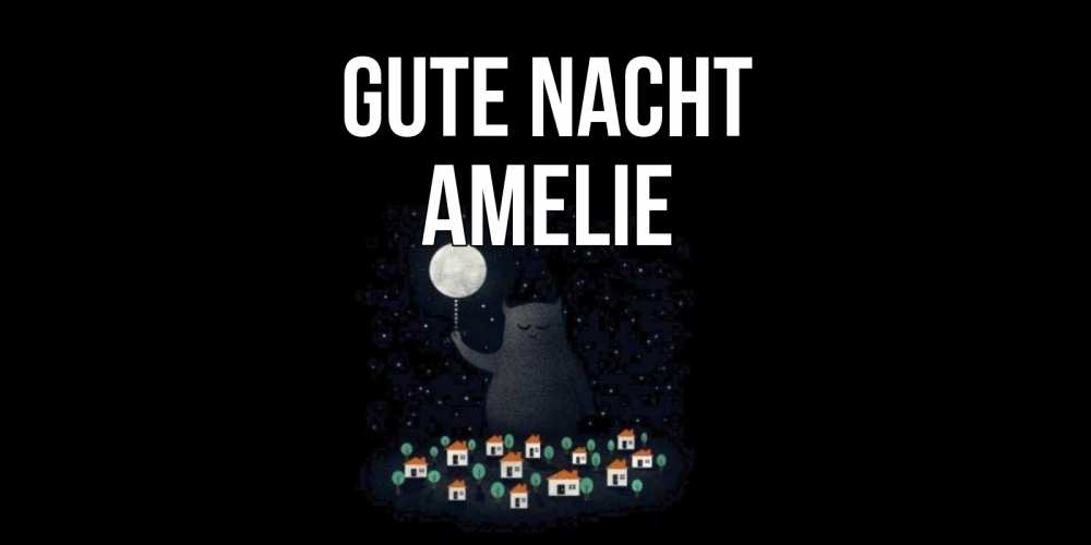 Открытка на каждый день с именем, Amelie Gute Nacht кот,луна, ночь, звезды Прикольная открытка с пожеланием онлайн скачать бесплатно 