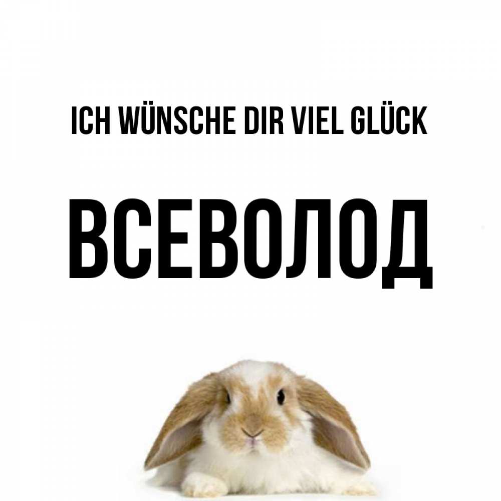 Открытка на каждый день с именем, Всеволод Ich wünsche dir viel Glück открытки с произвольным текстом который можно вставить в открытку и создать ее самостоятельно бесплатно онлайн Прикольная открытка с пожеланием онлайн скачать бесплатно 