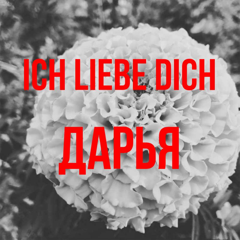 Открытка на каждый день с именем, Дарья Ich liebe dich подпись Прикольная открытка с пожеланием онлайн скачать бесплатно 