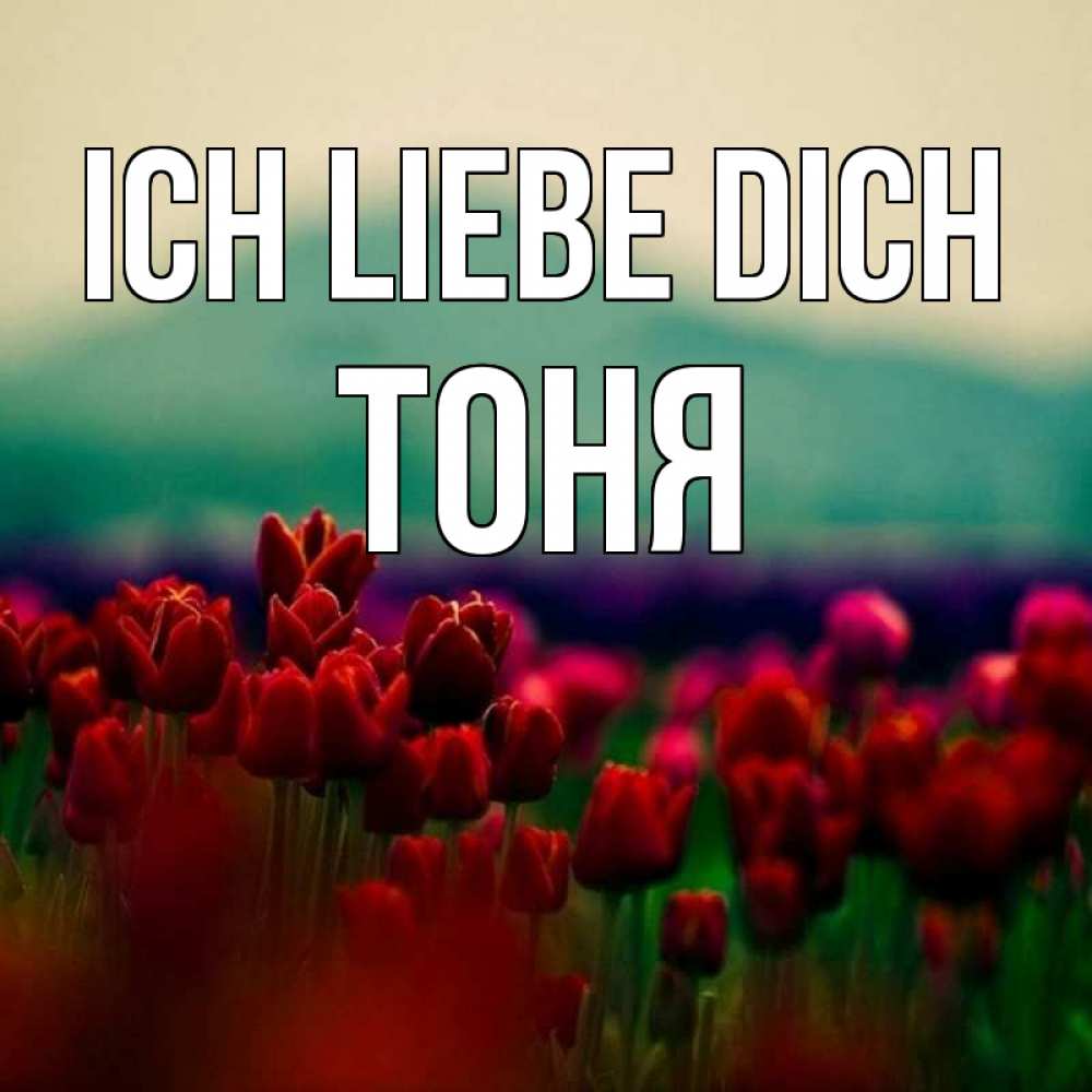Открытка на каждый день с именем, Тоня Ich liebe dich тюльпаны 4 Прикольная открытка с пожеланием онлайн скачать бесплатно 