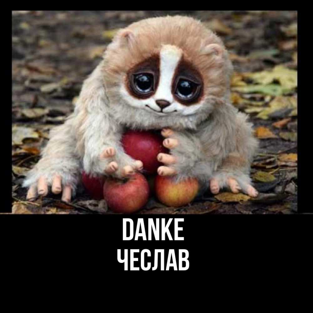 Открытка на каждый день с именем, Чеслав Danke прикольное животное Прикольная открытка с пожеланием онлайн скачать бесплатно 