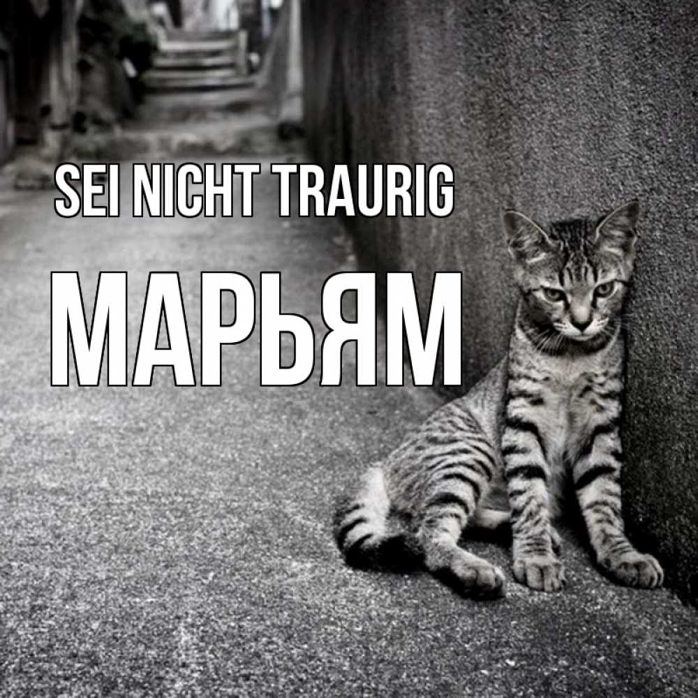 Открытка на каждый день с именем, Марьям Sei nicht traurig скучающий котик Прикольная открытка с пожеланием онлайн скачать бесплатно 
