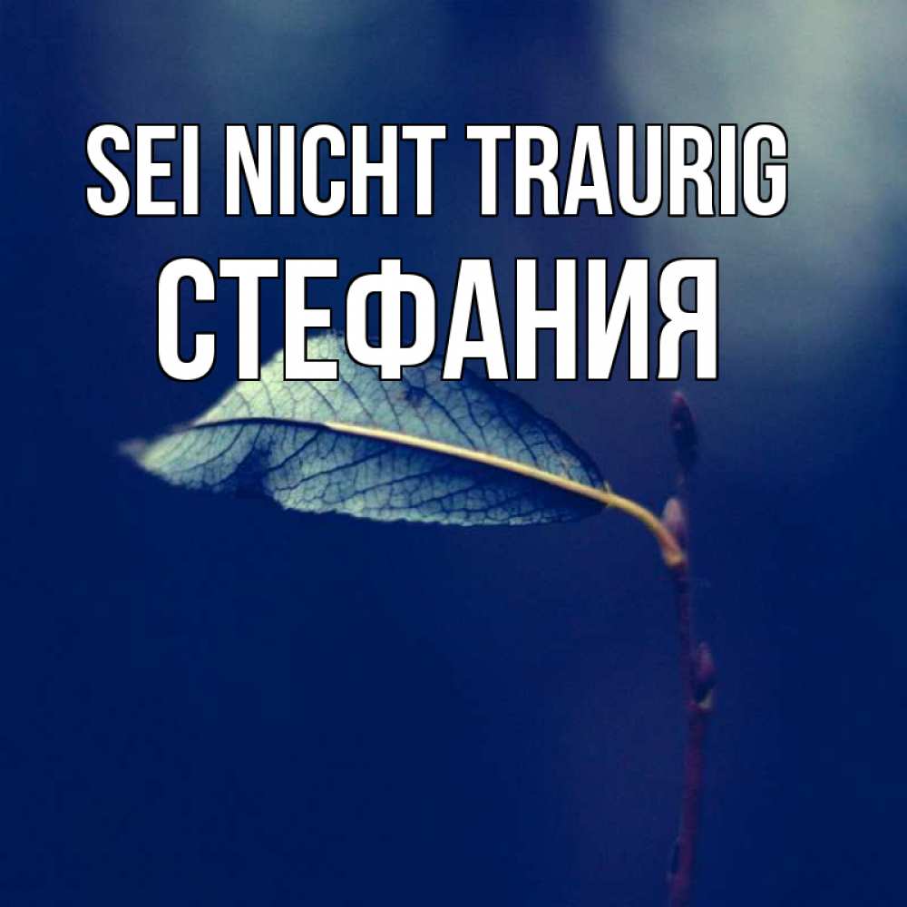 Открытка на каждый день с именем, Стефания Sei nicht traurig растение Прикольная открытка с пожеланием онлайн скачать бесплатно 