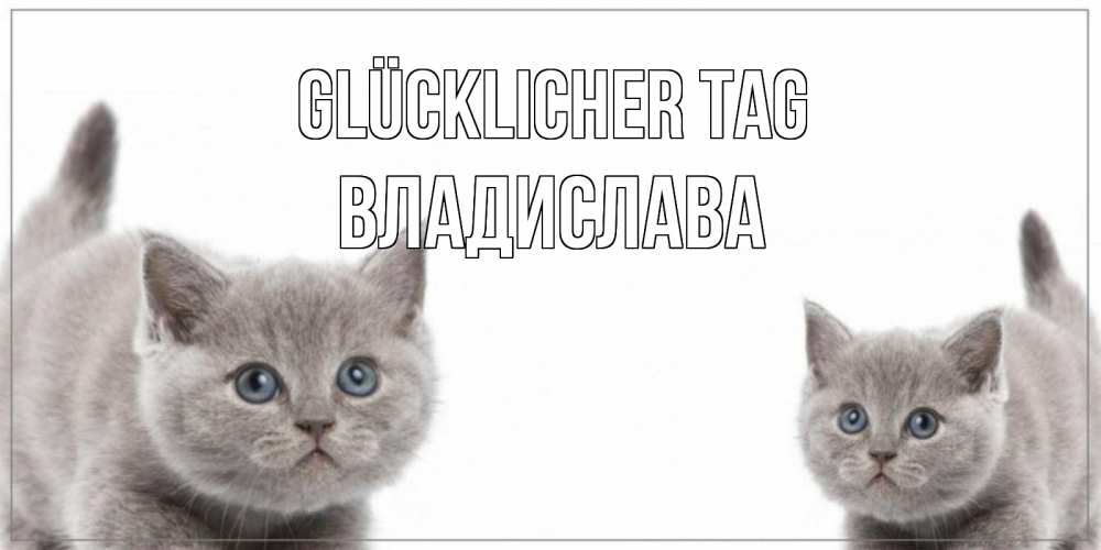 Открытка на каждый день с именем, Владислава Glücklicher Tag открытка с котами Прикольная открытка с пожеланием онлайн скачать бесплатно 