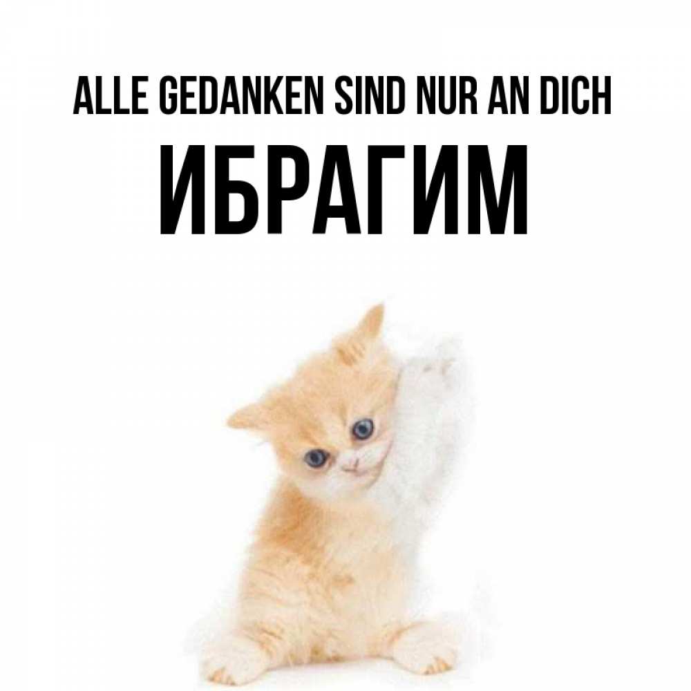 Открытка на каждый день с именем, Ибрагим Alle Gedanken sind nur an dich зверушки и милота Прикольная открытка с пожеланием онлайн скачать бесплатно 