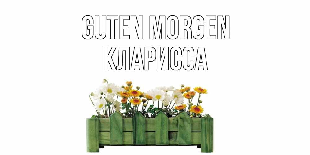 Открытка на каждый день с именем, Кларисса Guten Morgen цветы Прикольная открытка с пожеланием онлайн скачать бесплатно 
