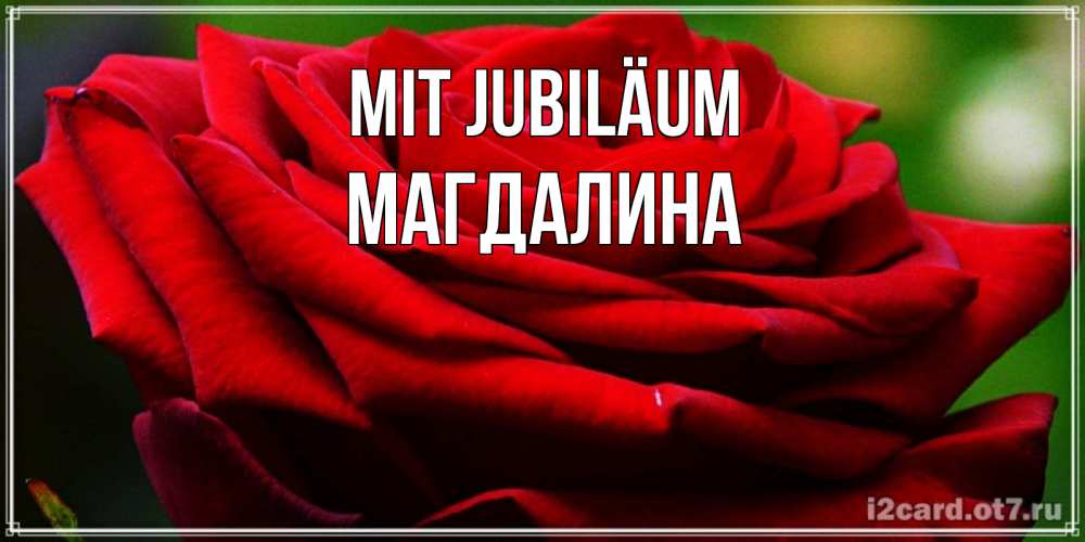 Открытка на каждый день с именем, Магдалина Mit Jubiläum розочка очень красивая Прикольная открытка с пожеланием онлайн скачать бесплатно 