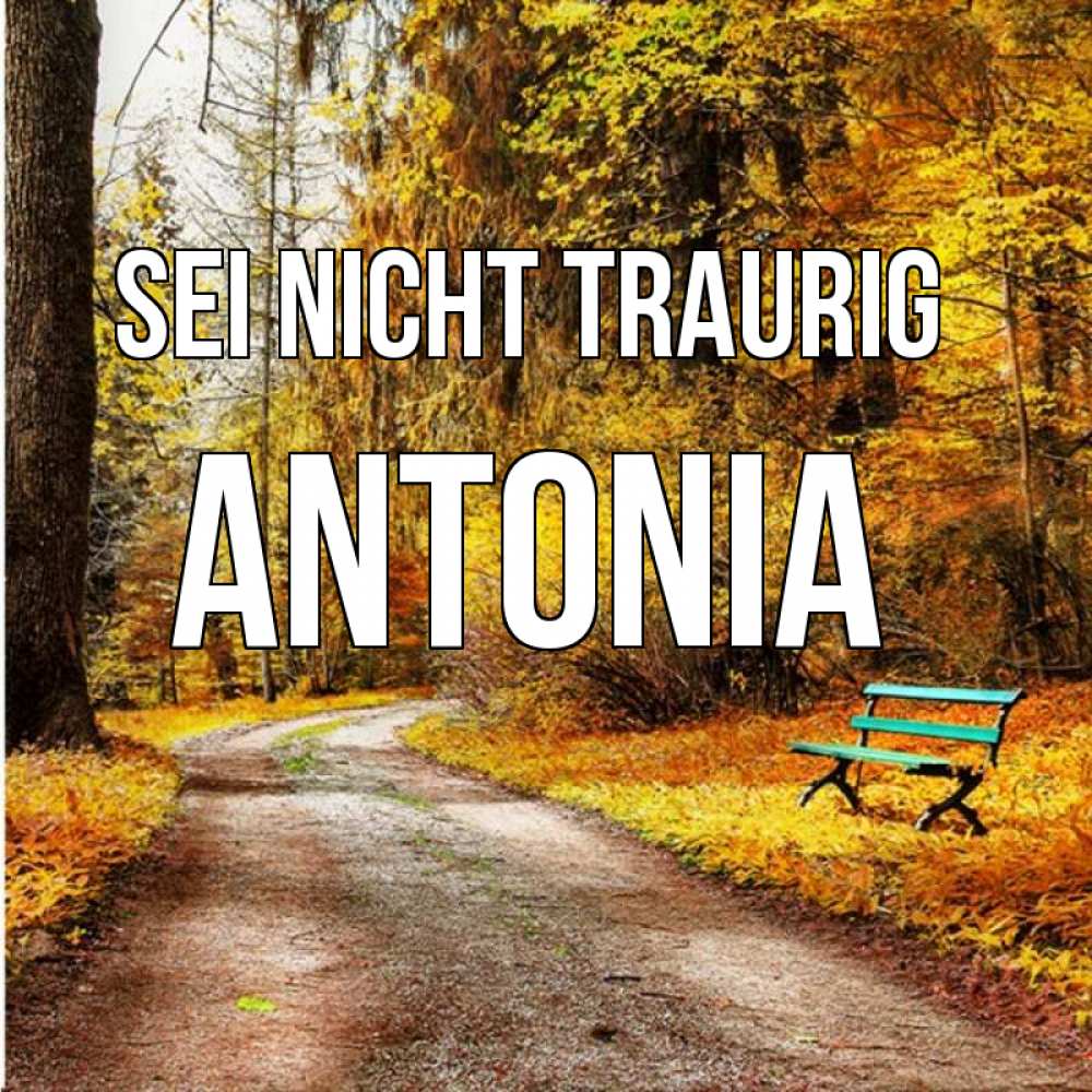 Открытка на каждый день с именем, Antonia Sei nicht traurig зеленая лавочка Прикольная открытка с пожеланием онлайн скачать бесплатно 