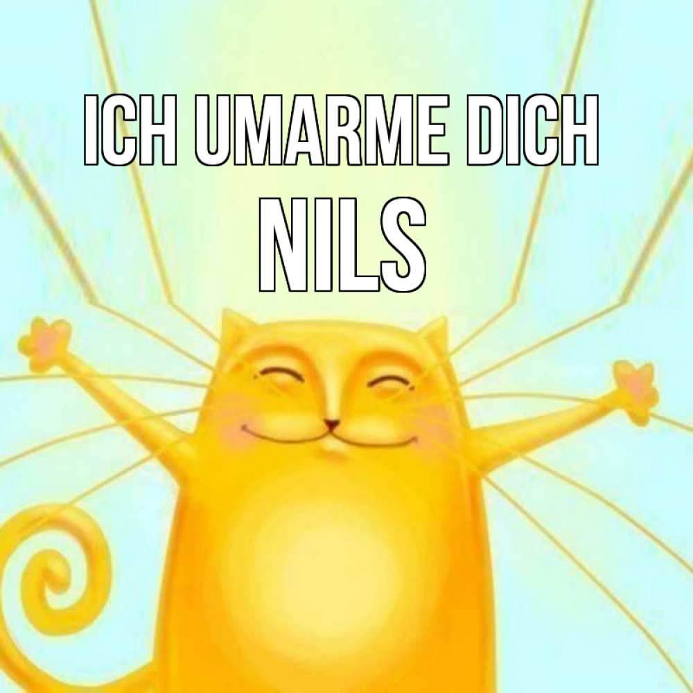 Открытка на каждый день с именем, Nils Ich umarme dich солнечный обнимашечный кот Прикольная открытка с пожеланием онлайн скачать бесплатно 
