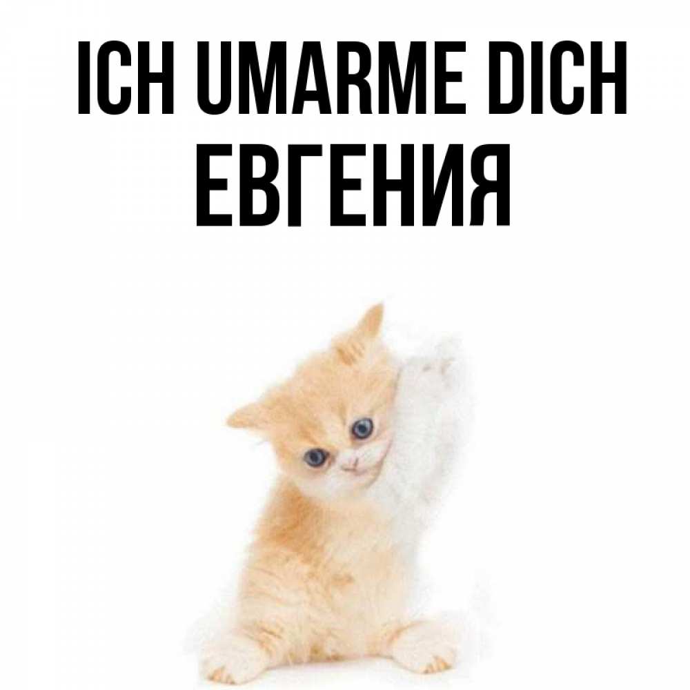 Открытка на каждый день с именем, Евгения Ich umarme dich я хочу очень скорее обнимаешек Прикольная открытка с пожеланием онлайн скачать бесплатно 