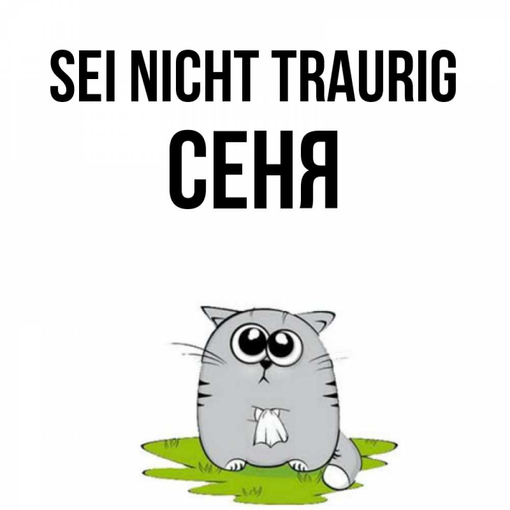 Открытка на каждый день с именем, Сеня Sei nicht traurig грустный котяра Прикольная открытка с пожеланием онлайн скачать бесплатно 