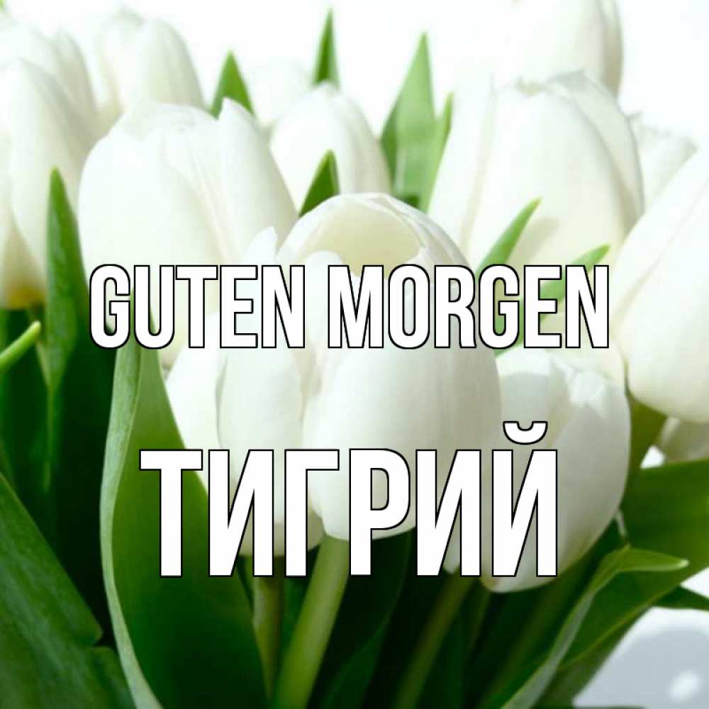 Открытка на каждый день с именем, Тигрий Guten Morgen открытки на каждый день по именам Прикольная открытка с пожеланием онлайн скачать бесплатно 
