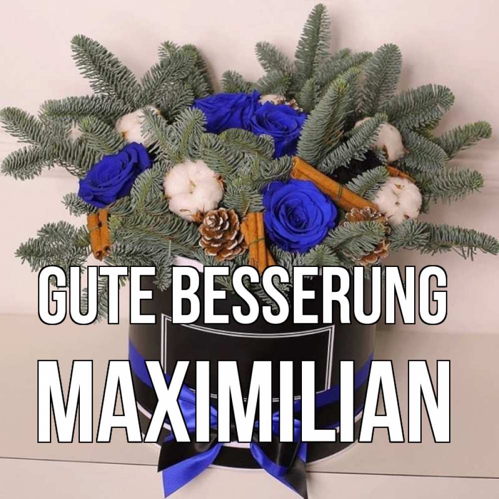 Открытка на каждый день с именем, Maximilian Gute Besserung короче кто то загрузил эти шишки Прикольная открытка с пожеланием онлайн скачать бесплатно 