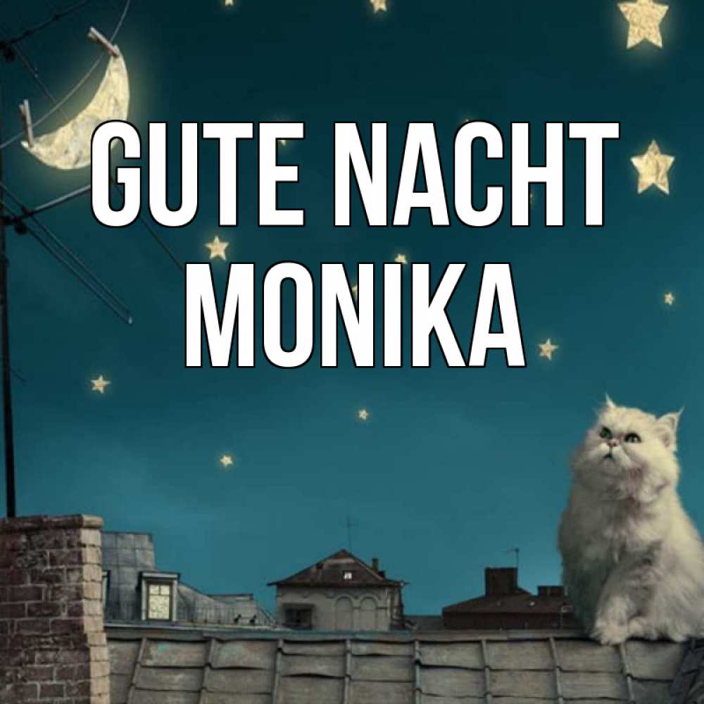 Открытка на каждый день с именем, Monika Gute Nacht белый кот сидит на крыше Прикольная открытка с пожеланием онлайн скачать бесплатно 