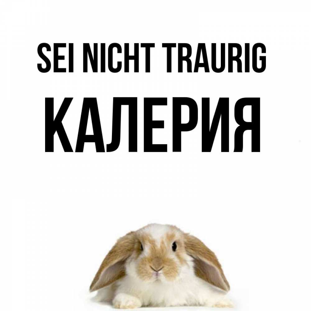 Открытка на каждый день с именем, Калерия Sei nicht traurig коричнево белый заяц с большими ушками Прикольная открытка с пожеланием онлайн скачать бесплатно 