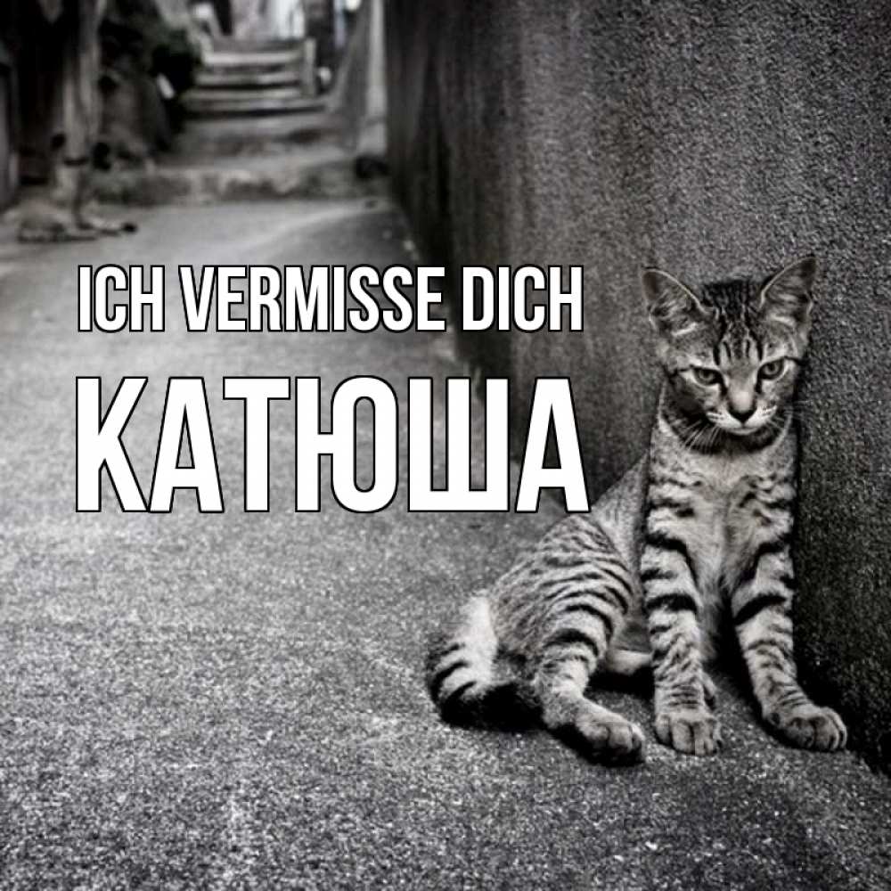 Открытка на каждый день с именем, Катюша Ich vermisse dich одиноко котику Прикольная открытка с пожеланием онлайн скачать бесплатно 