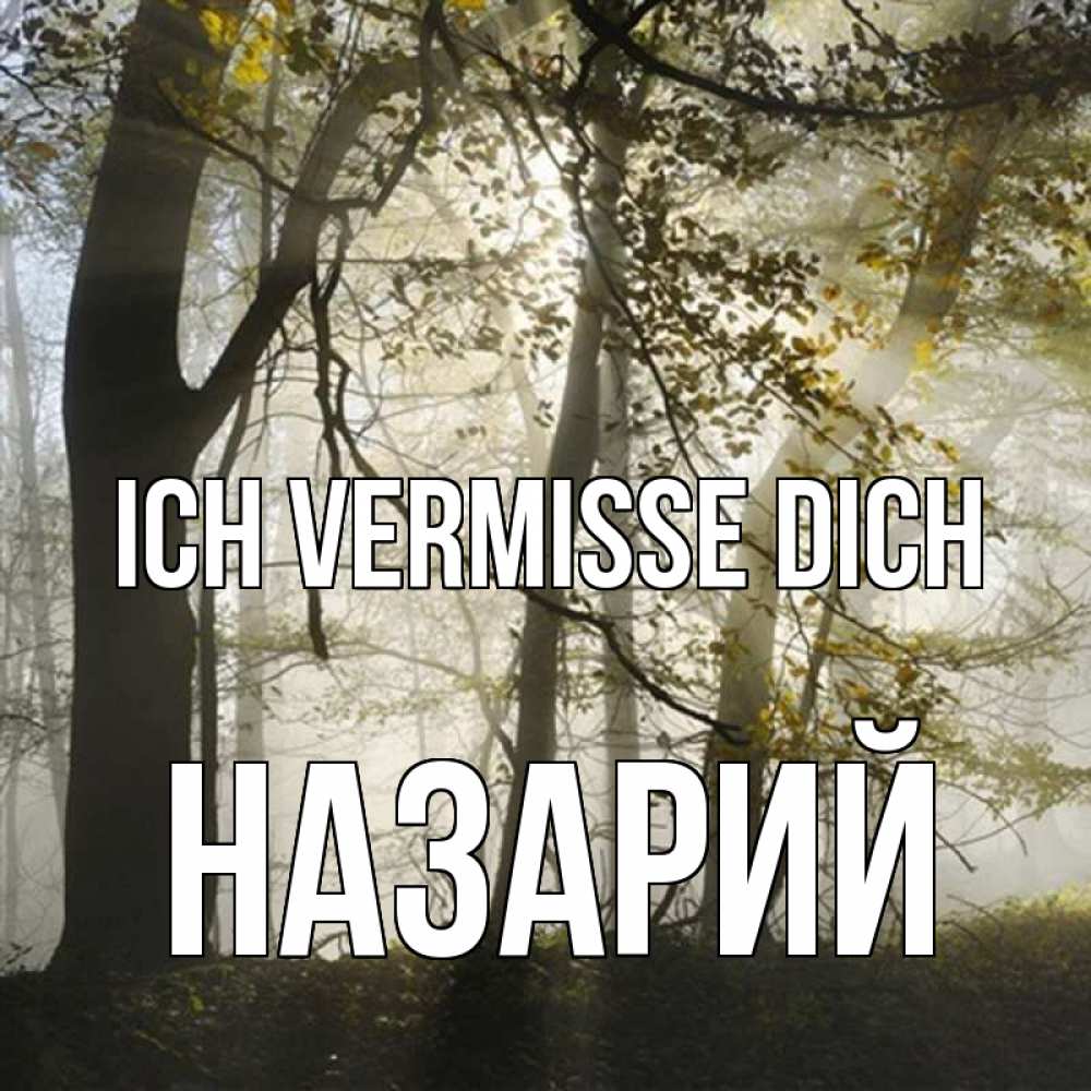 Открытка на каждый день с именем, Назарий Ich vermisse dich грустно Прикольная открытка с пожеланием онлайн скачать бесплатно 